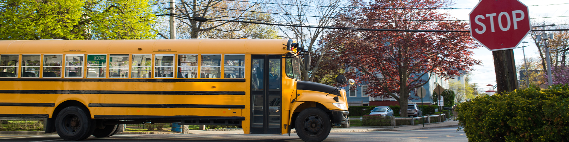 <p class="slider-title">Register Now for Yellow School Bus Service</p><div class="banner-line"></div><p class="slider-subtitle">Families must register by June 16 to be added to routes of the start of the next school year.</p> <a style="pointer-events:all" class=AEBannerMoreLink href="https://www.cbe.ab.ca/news-centre/Pages/register-now-for-yellow-school-bus-service.aspx">Read More</a>