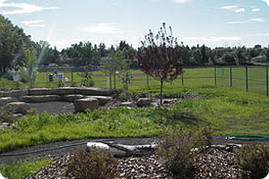 An outdoor learning centre at a school