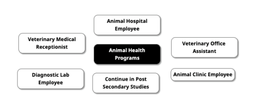 CareerMap Veterinary Medical Terminology