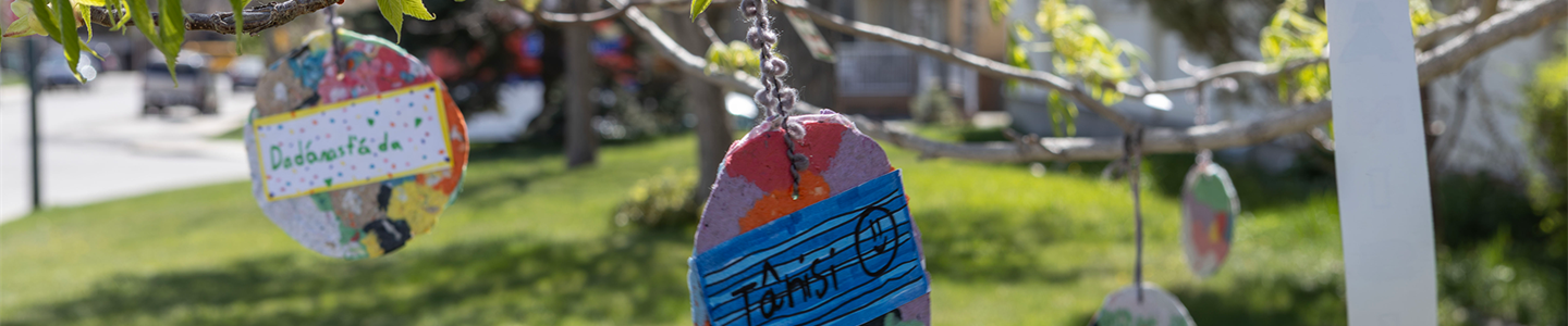 Celebrating Indigenous Education in June 