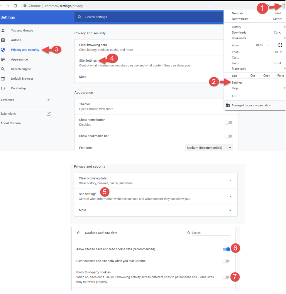 BrightspaceVirtualClassroom